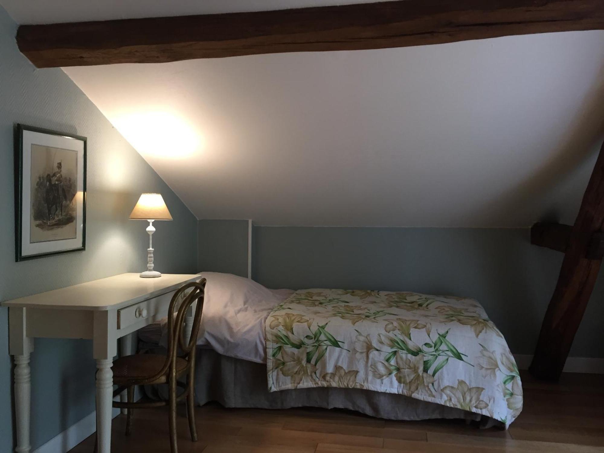 Gite Du Chateau D'Hodebert Saint-Paterne-Racan Екстериор снимка